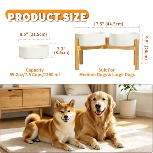 Elevated Ceramic Dog Bowl Set (White / Large)