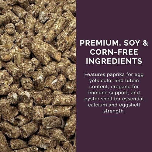 Layer Pellet Feed (40 Pound / Pellet)