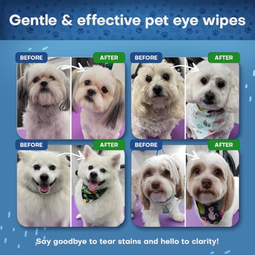 Pet Eye Wipes for Dogs & Cats (60 XL EYE WIPES)