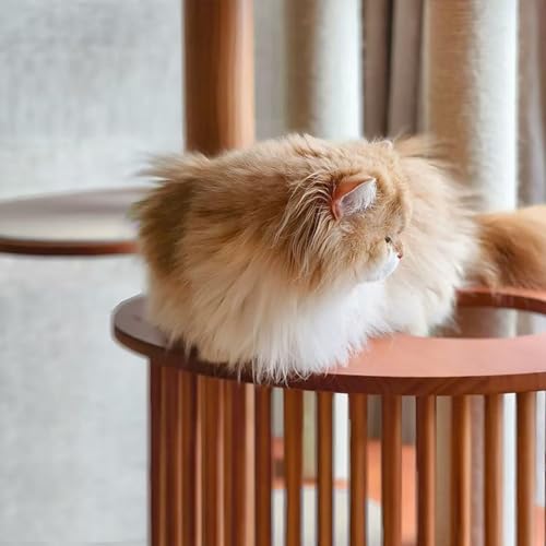 Cat Tree 72.3" Solid Wood Multi (L23.6"xW23.6"xH72.3")