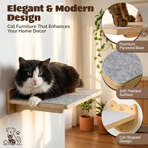 Cat Wall Shelves & Climbing System