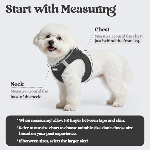 Dog Harness Small Sized and Leash Set (Black / Xxs (chest: 12.4 - 14.2"))