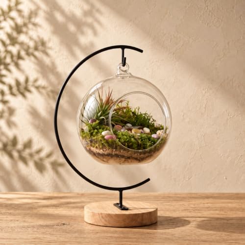 DIY Glass Terrarium Kit with Live Moss & Mini Tools