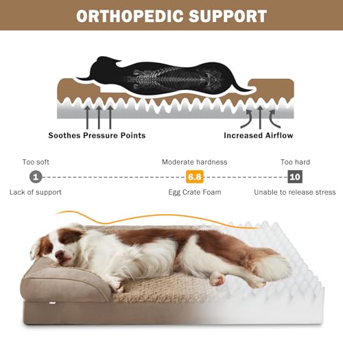 Jumbo Orthopedic Dog Bed for Extra Large Dogs (Brown / XL-PLUS (45"x 32"x 7.5"))