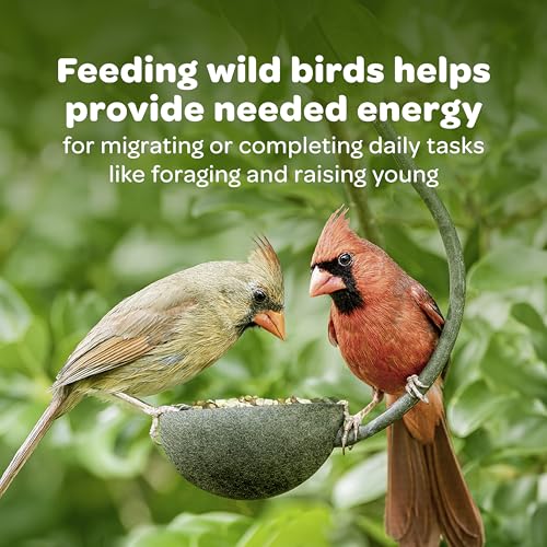Wild Finch Blend (8 Pound (Pack of 1))