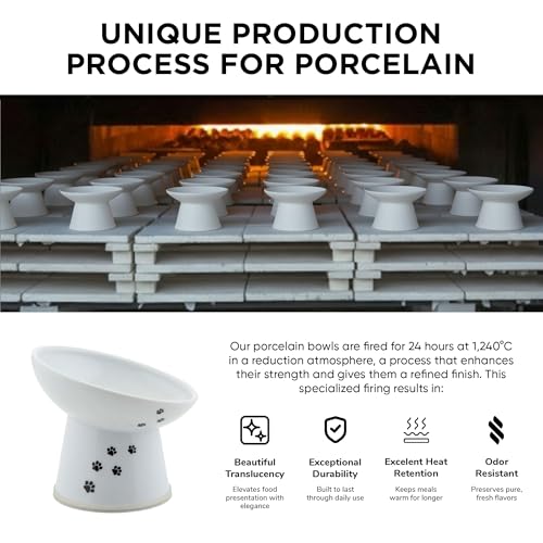 Necoichi Porcelain (Cat / Regular Tilted)