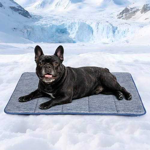 Dog Cooling Mat for Large Dogs (Wander Blue / 30"L x 20"W x 0.8"H)