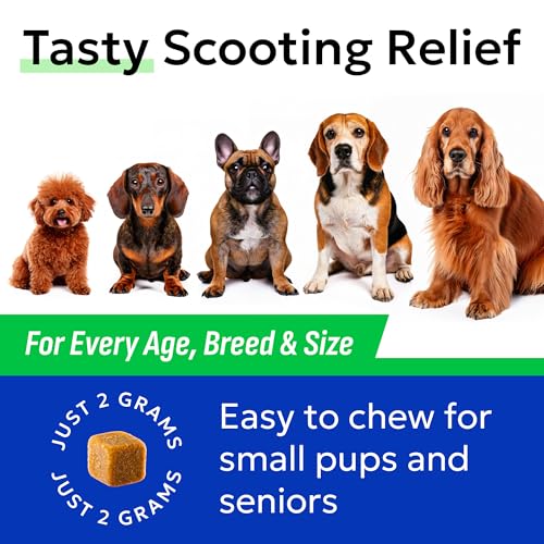 Dog Anal Gland Treatment Chews (Gland Guard / 120Ct Bacon)