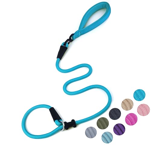 Slip Lead Dog Leash (1/2"×4ft / Blue)