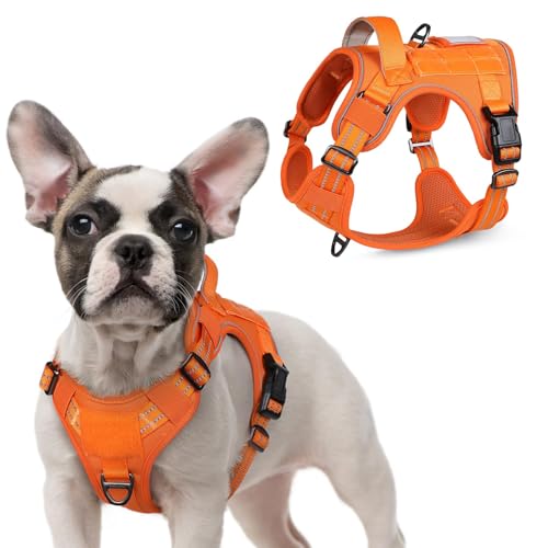 Tactical Dog Harness for Small (Orange / Small)