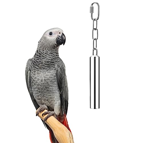 Stainless Steel Bell Toy Bird Cage Hanging Bite Toy for Parrot Parakeet Budgie Cockatiel Conure African Greys (1 PCS-L)