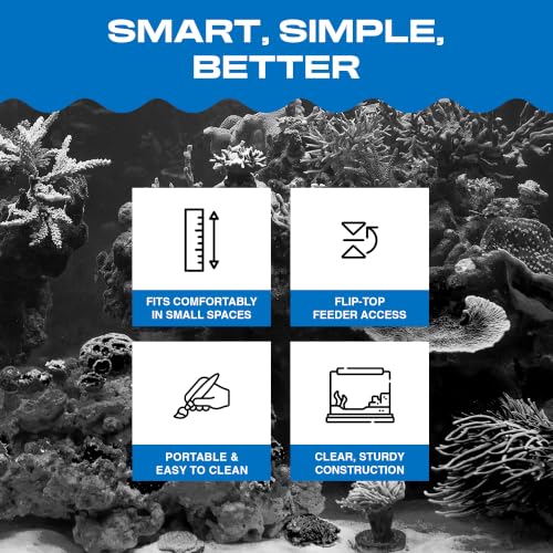 Small World Habitat (2.2 Gallon)