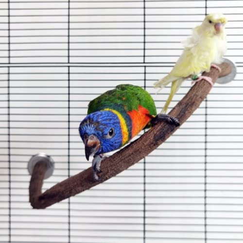 Parrot Perch Stand Bird Cage Stand Pole Natural Wild Grape Stick Grinding Paw Cage Accessories for Parakeet Cockatiels Budgies Conure Lovebirds Platform