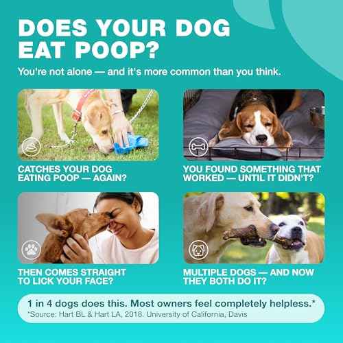No Poo Chews for Dogs (180 count / No Poo Chews for Dogs)