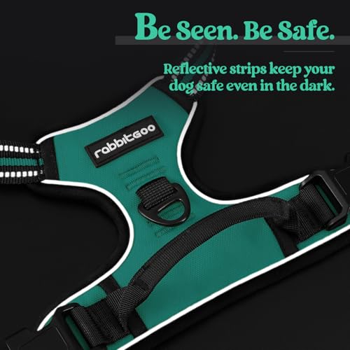 Dog Harness No Pull Medium Sized with 2 Leash Clips (Medium / Turquoise)