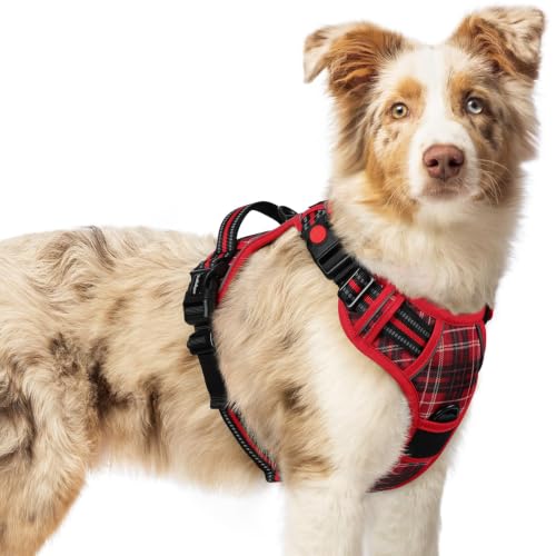 Dog Harness Medium Sized