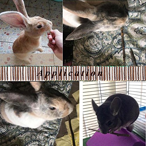 500g Apple Sticks for Small Animals