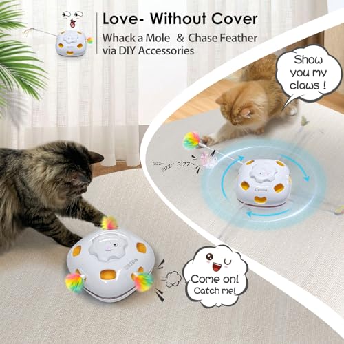 Cat Toys 4 in 1 Interactive Cat Toys for Indoor Kitten