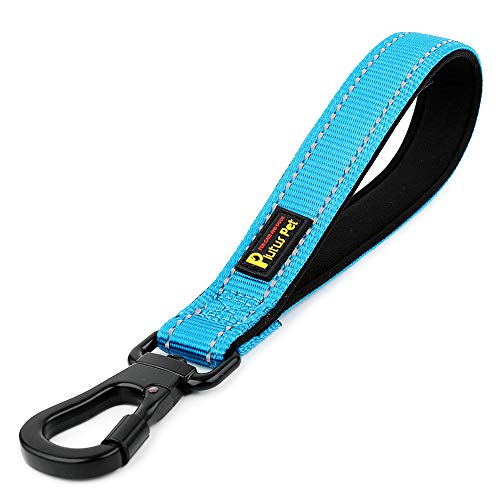 10” Short Dog Leash (Blue / 10 Inch (Pack of 1))