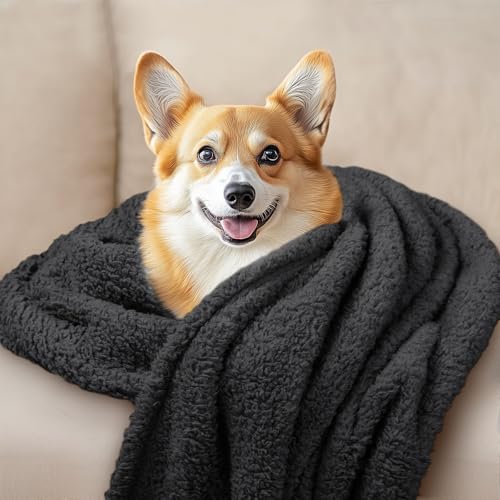 1 Pack 3 Calming Blankets Fluffy Premium Fleece Pet Blanket Soft Sherpa Throw for Dog Puppy Cat Black Small (Small (Pack of 3) / Black)