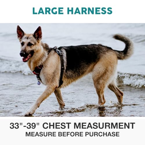 Embark No Pull Dog Harness (L / Aurora)