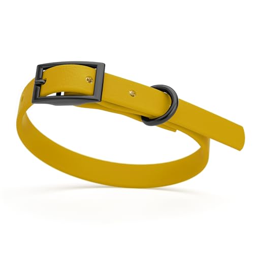 Biothane Waterproof Dog Collar Strong Coated Nylon Webbing with Black Hardware Odor (W1/2" x L9-12" / Treasure Gold)