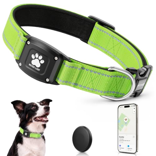 GPS Dog Collar with Tracker (Green / M(14.5''-19.5''))