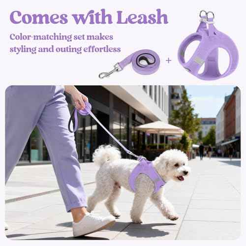 Dog Harness Medium Sized and Leash Set (Light Purple / Xxl (chest: 21.6 - 23.7"))