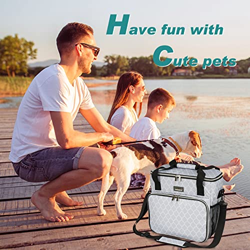 Dog Travel Bag (DLwhite / Medium)
