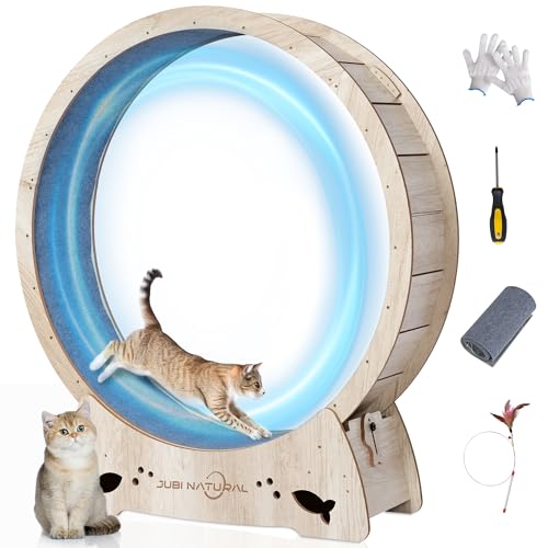 50" XL Cat Exercise Wheel (WOOD / 50")