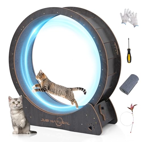 40" Cat Wheel for Indoor Cats (BLACK / 40")