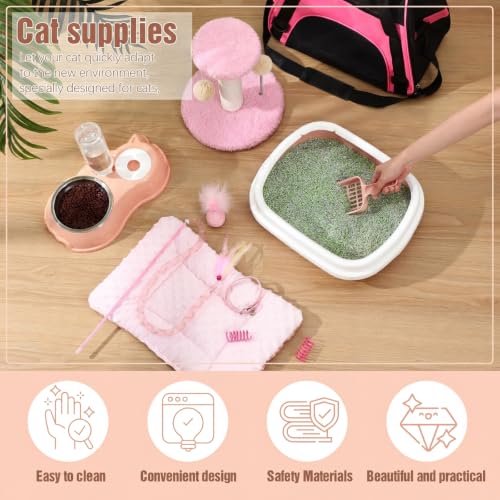 10 Pcs Kitten Starter Kit for Indoor (Classic / Medium / Pink)