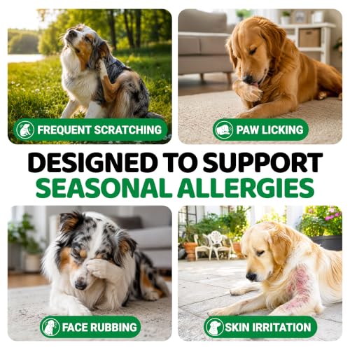 2 Pack) Dog Allergy Relief Chews - 340 Ct - Dog Itching Skin Relief Pills (Value 2-Pack (340 Chews))