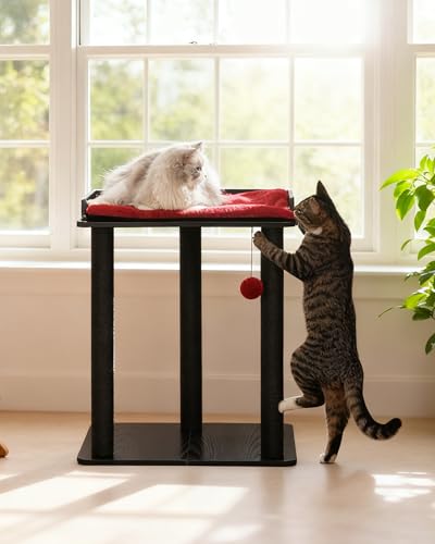 Modern Cat Tree for Large Cats (Black&Red / 22"L x 15.7"W x 26.7"H)