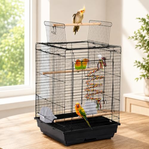 Open Play Top Travel Bird Cage for Conure Sun Parakeet Green Cheek Conure Lovebird Budgie Finch Canary (Black)