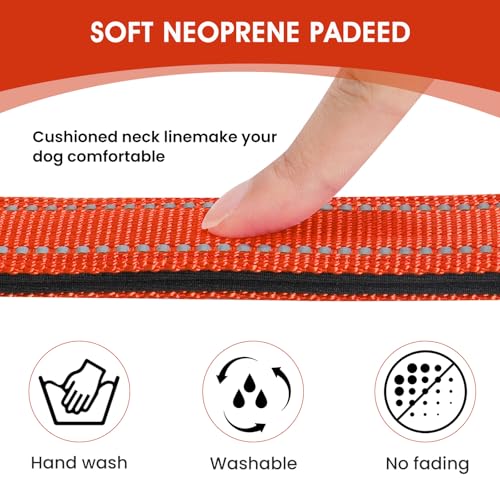 Reflective Dog Collar (Tangerine / XS:width 5/8"neck 8-10.5")