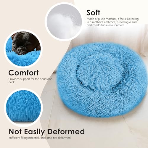 28in Large Dog Bed (Light Blue / 28.0"L x 28.0"W x 8.0"Th)