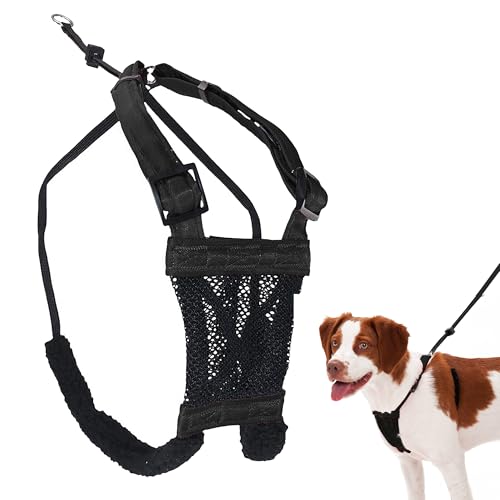 No Pull Dog Harness (Medium / Black)