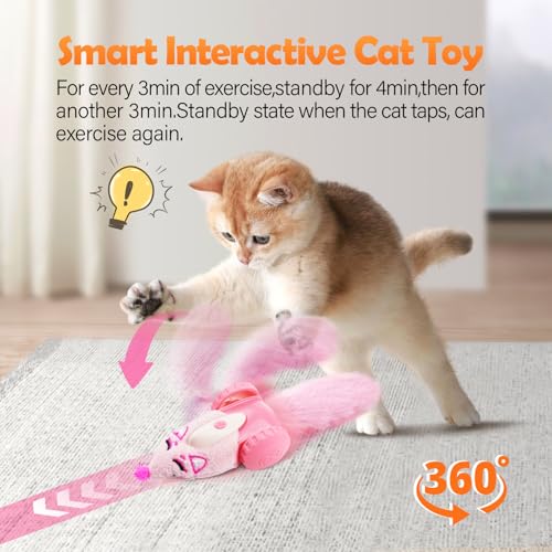 Automatic Cat Toys (Modern)