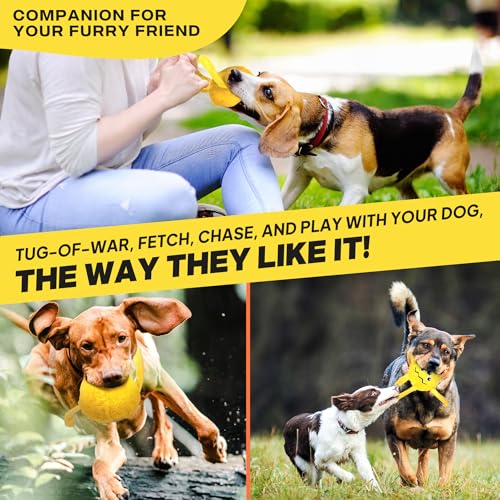 Dog Toys for Aggressive Chewers (M/L / Yellow)