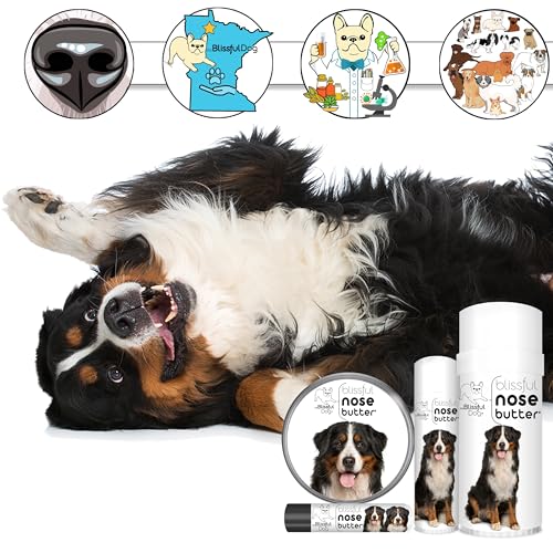 Bernese Mountain Nose Butter (Bernese Mountain Dog / 2 Ounce)