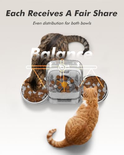 Automatic Cat Feeder for 2 Cats (Matte Black)