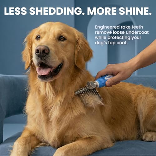 Poodle Dematting Fur Rake Comb Brush for Dogs and Cats (Blue / Dematting Comb)