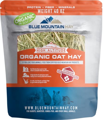 Organic Oat Hay for Small Pets (2.5 Pound (Pack of 1))