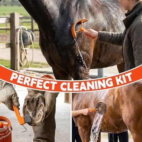 Horse Grooming Kit (Orange)