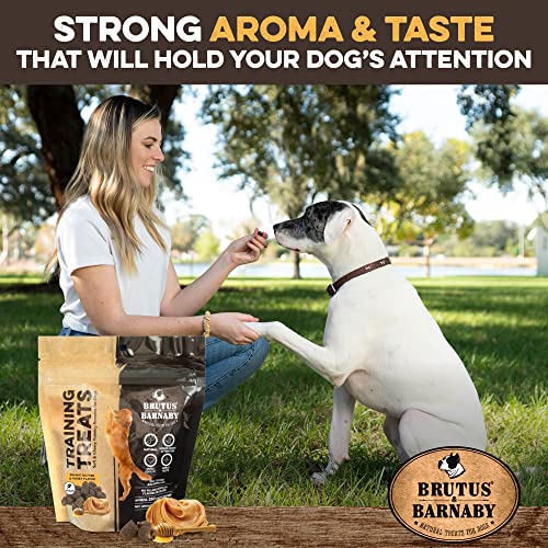 Natural Peanut Butter & Honey Dog Training Treats (1 Pound (Pack of 1))