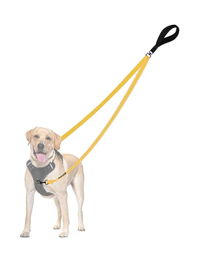 Two Point Control Dog Leash (Yellow)