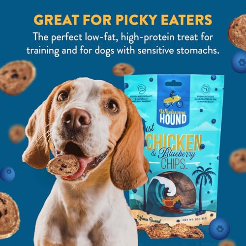Chicken Blueberry Chips Dog Treats (3 Ounce)
