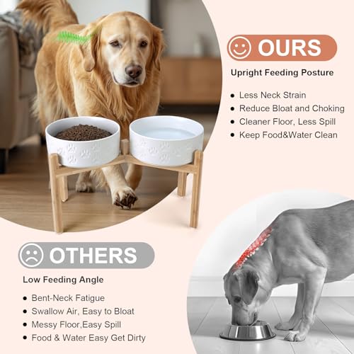 Elevated Dog Bowls Ceramic (8.3 in - 7.6 cups / Paw White)