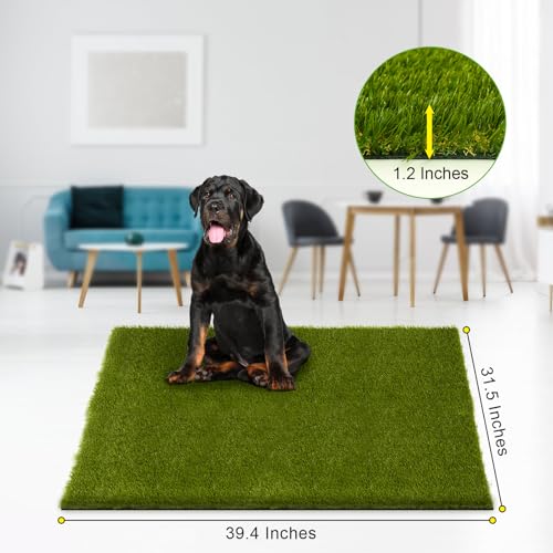 Professional Fake Grass for Dogs (39" x 31")